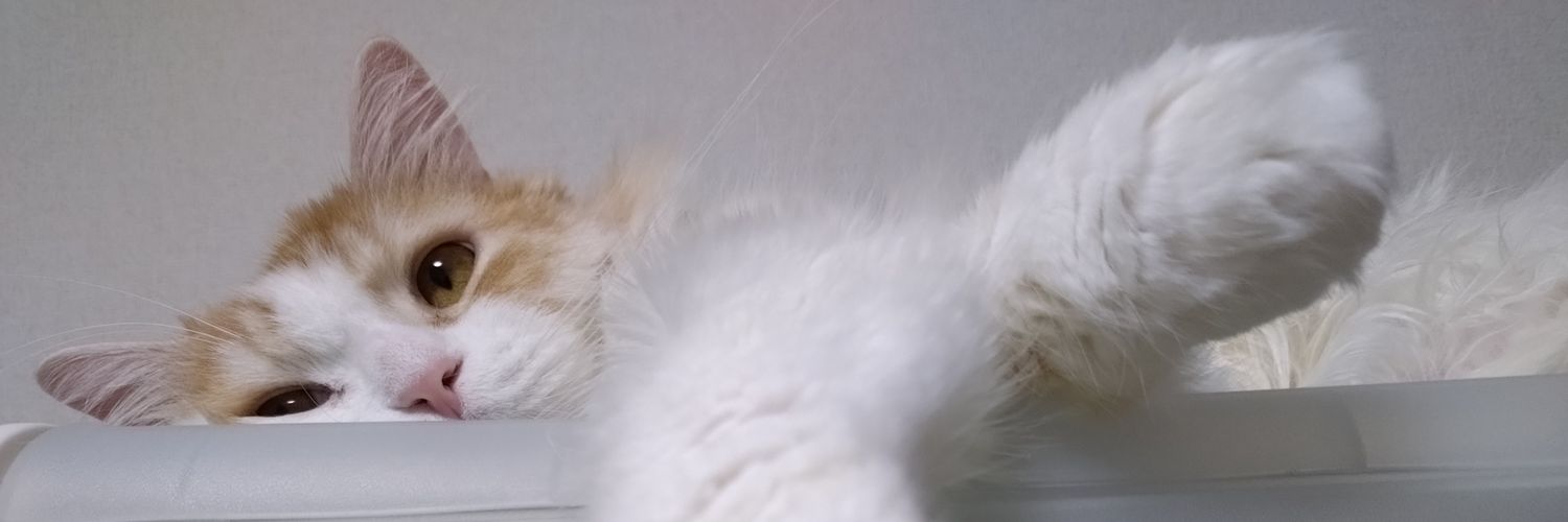藍 banner