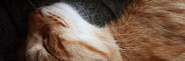 jsaltr Profile Banner