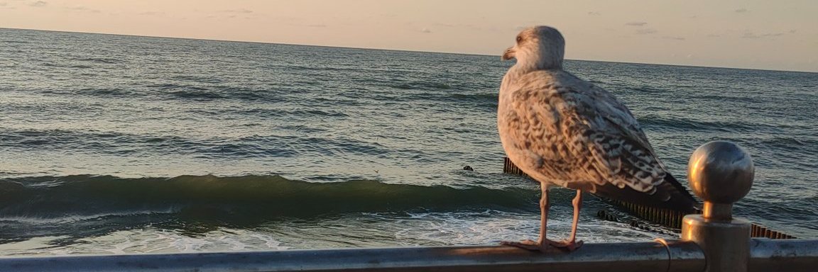 lubamark's profile banner image