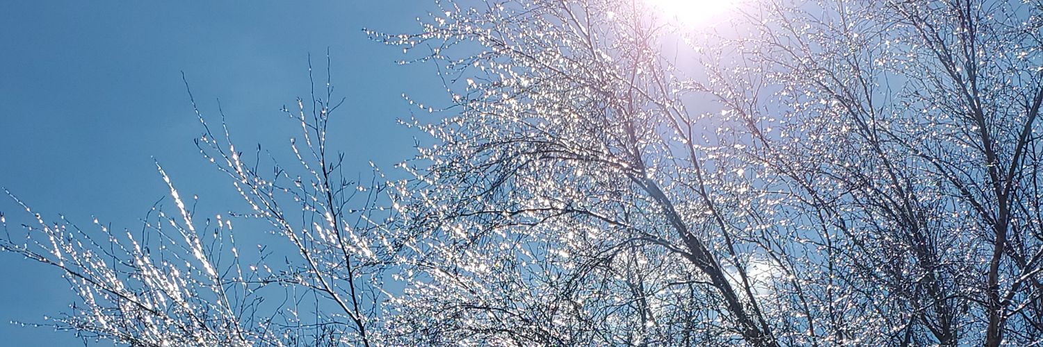 1TrueDenesha's profile banner image