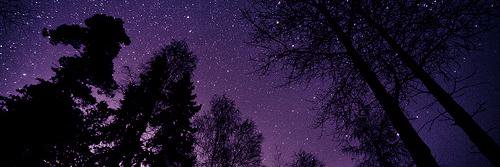 AlyssaClark12's profile banner image