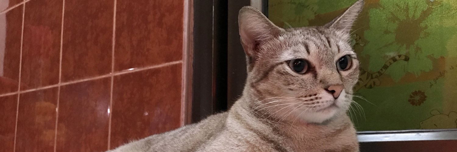 IFiwz_Fiw's profile banner image