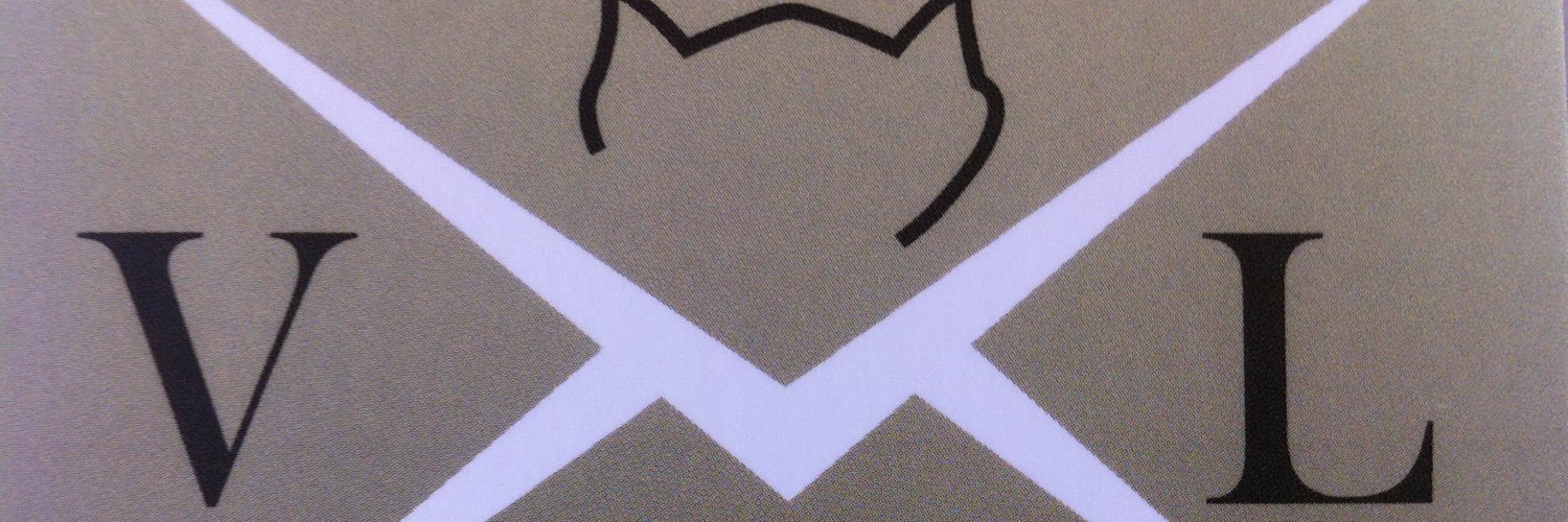 VirtualLali😺 banner