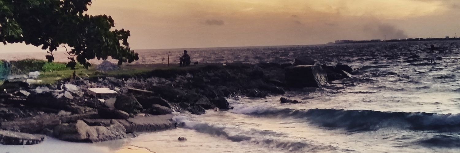 fff7860's profile banner image