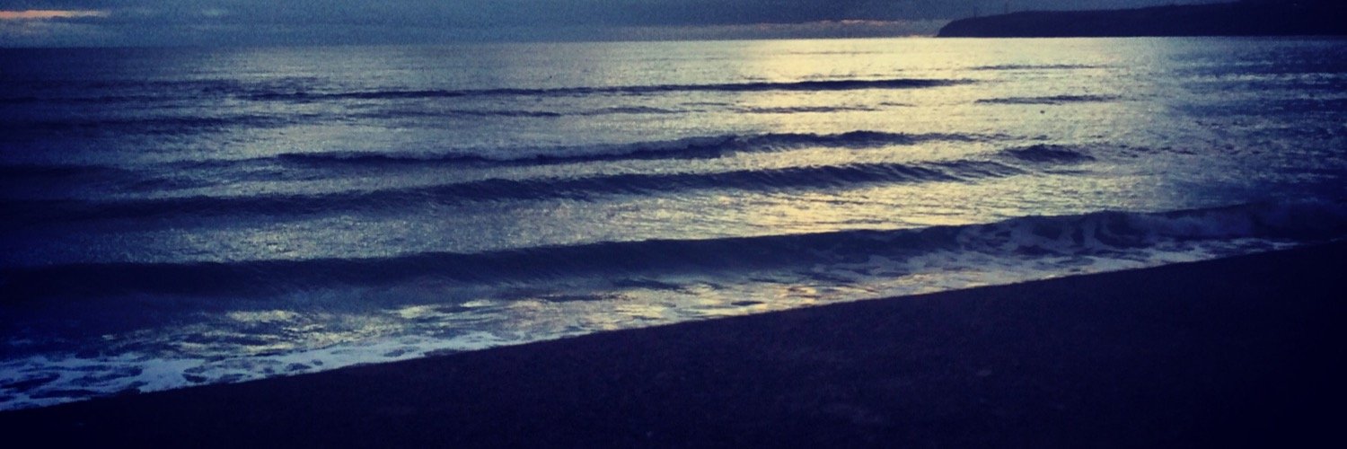 ShonaghHolden's profile banner image