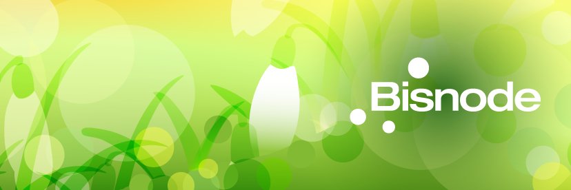 BisnodeSlovenia's profile banner image
