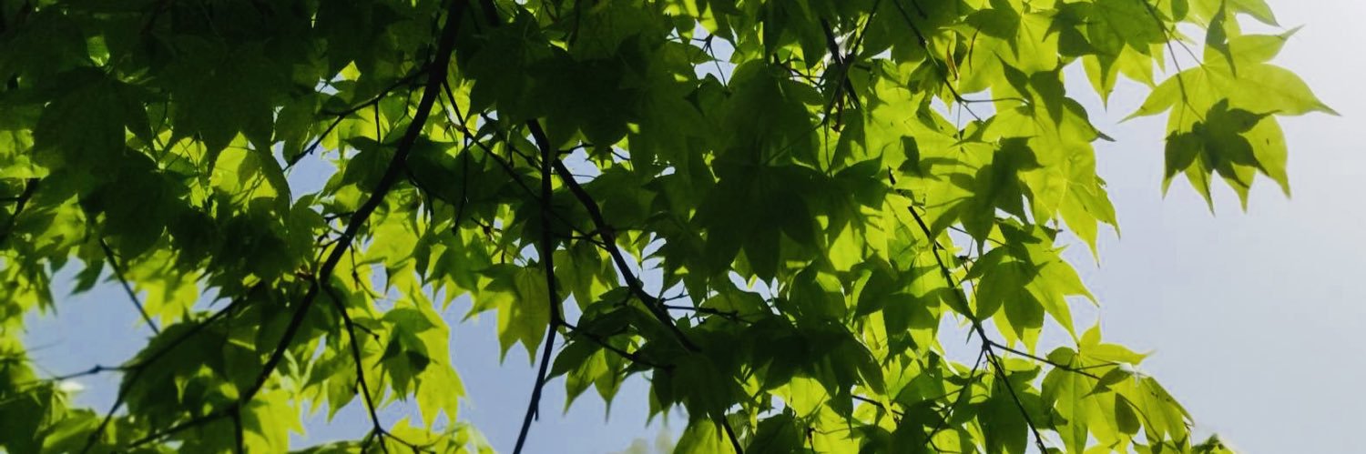 miwa_comm's profile banner image