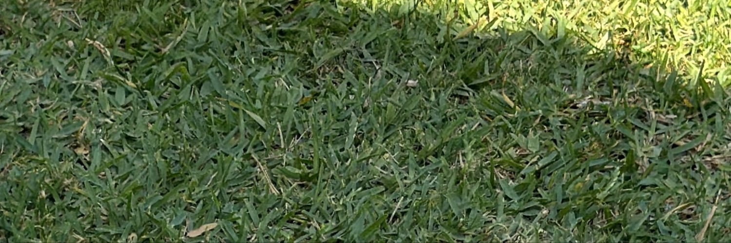 estergf16's profile banner image