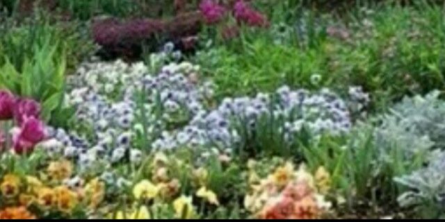 saari_saari's profile banner image