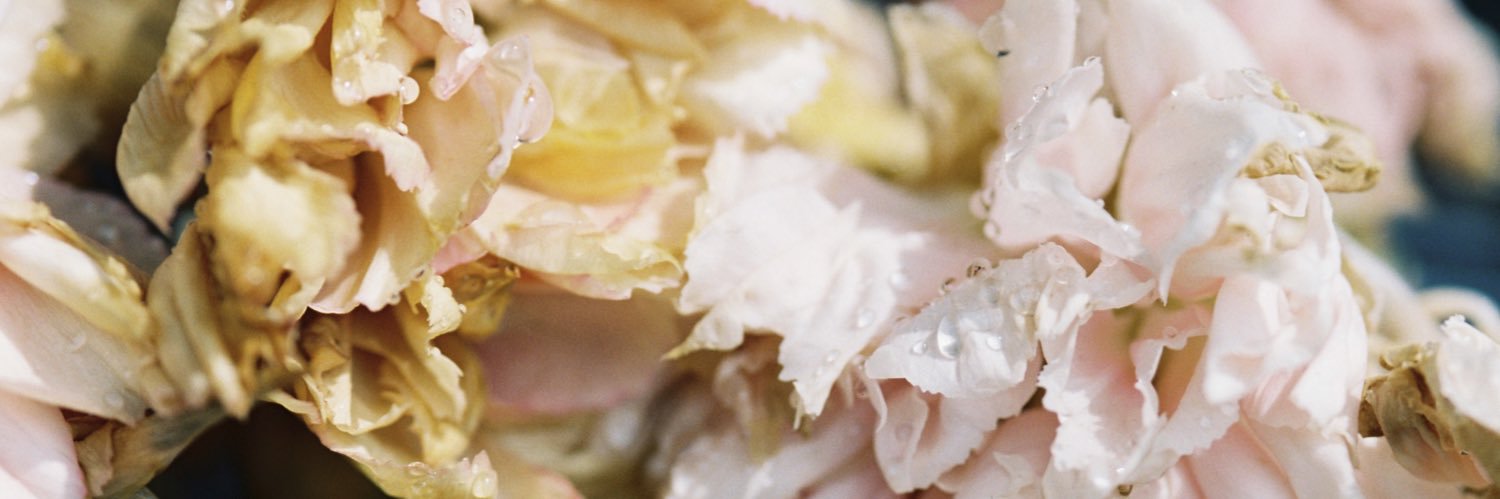 kimcamjones's profile banner image