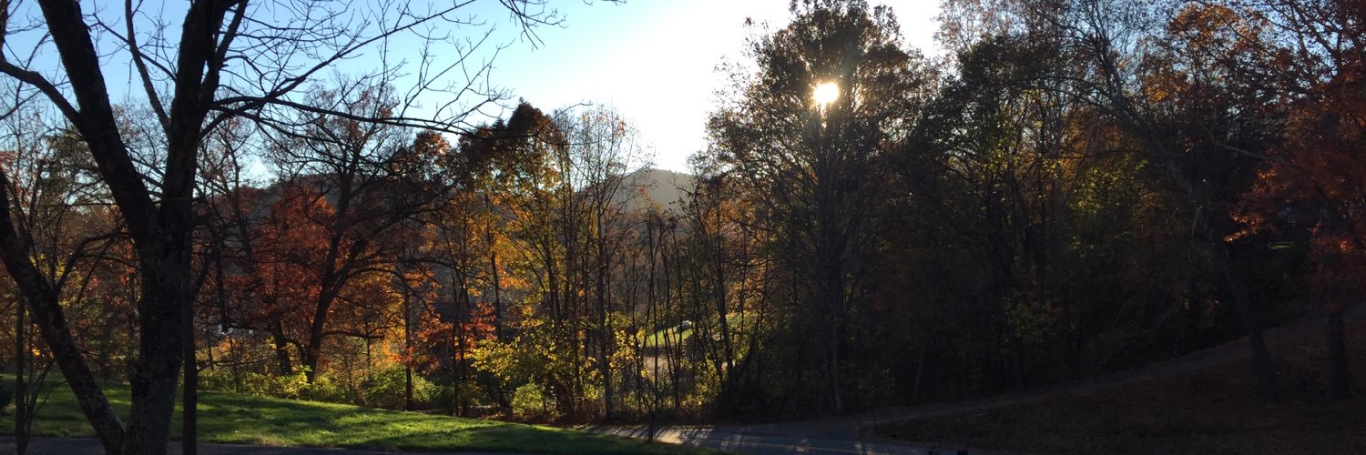 Jackie Chaney banner