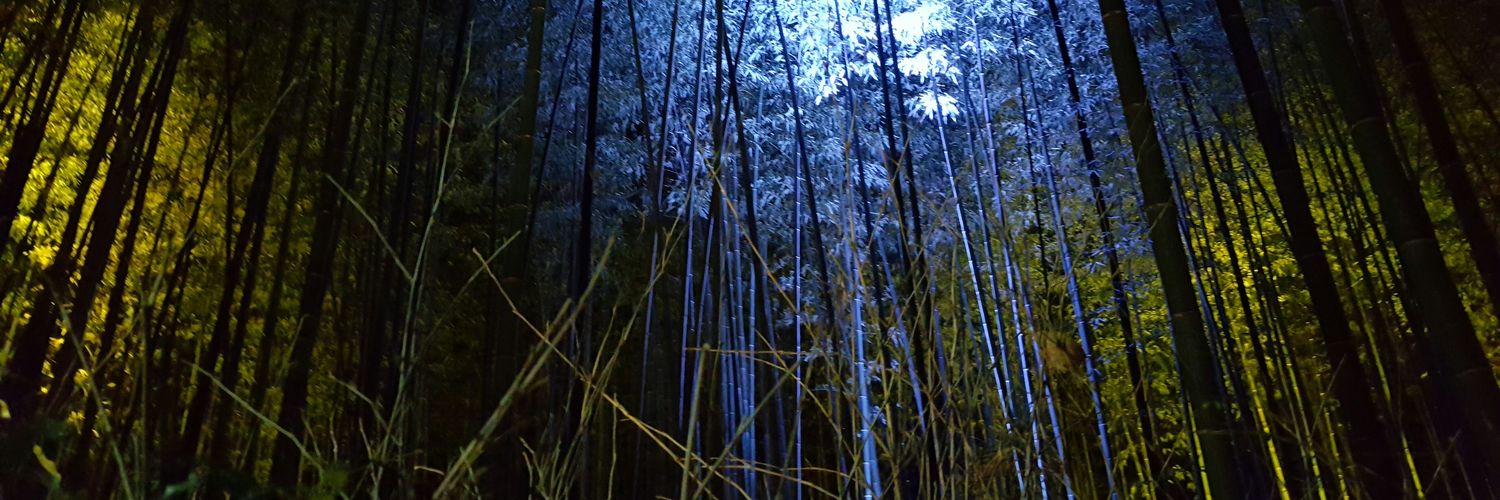 Luz banner