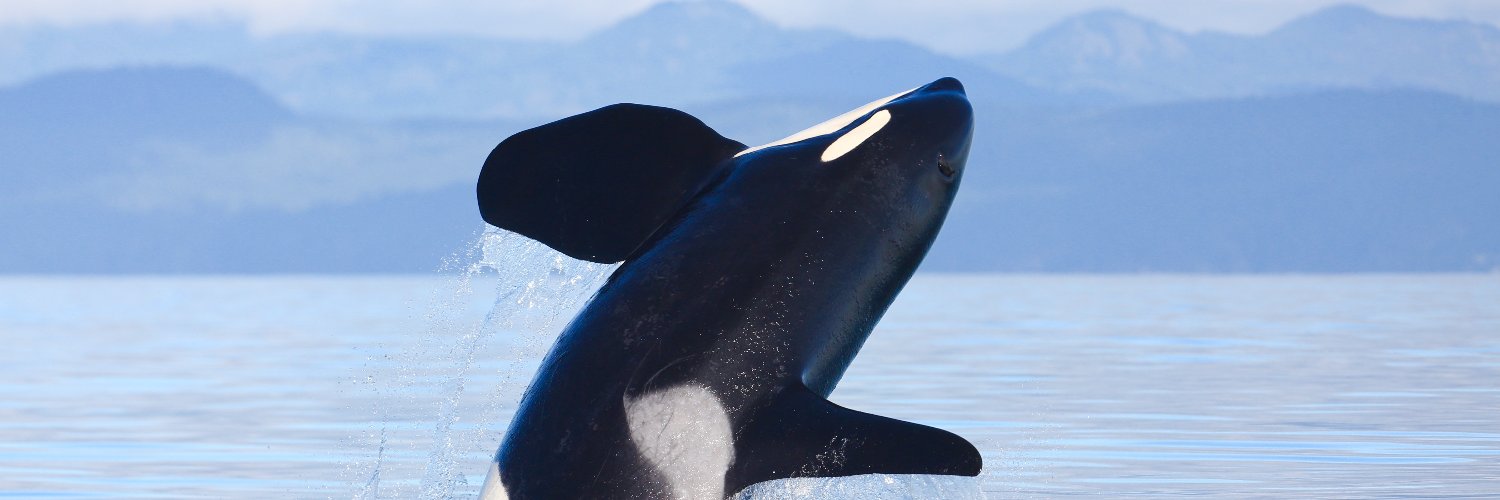 MPI BC Chapter banner