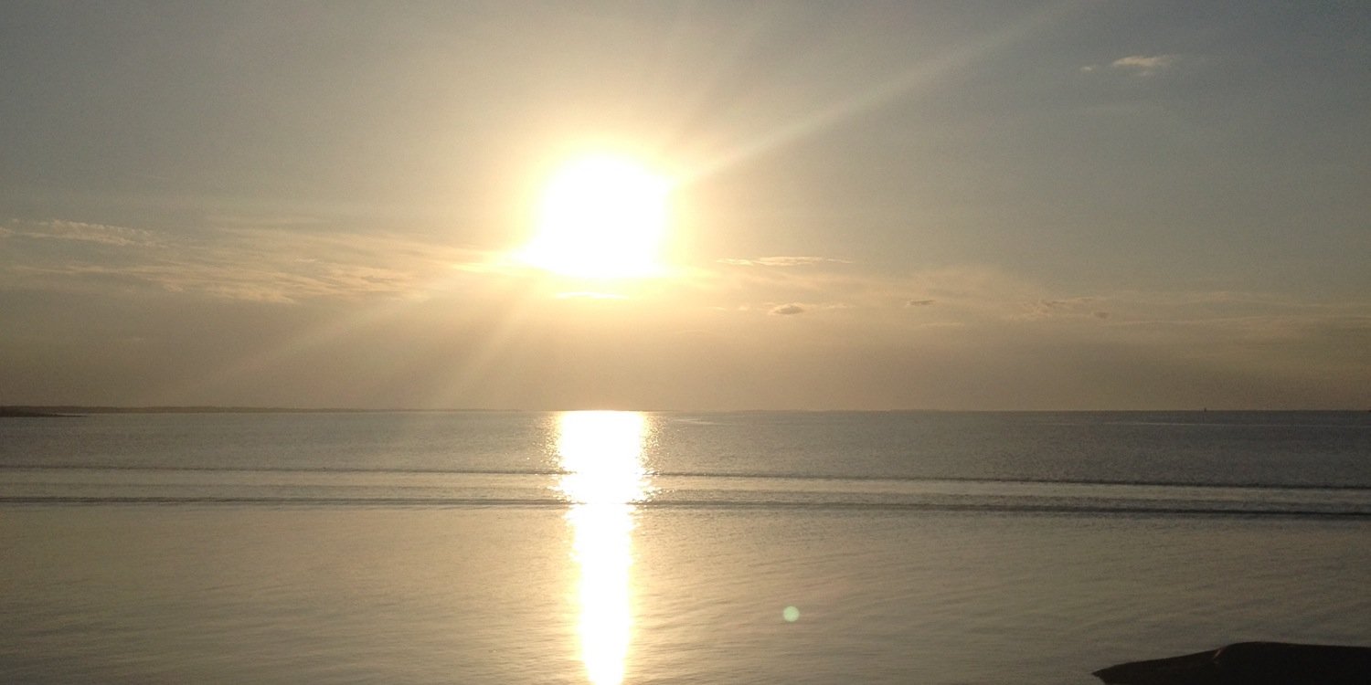 emma johansson banner