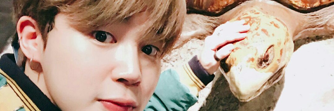 turtlepjm's profile banner image