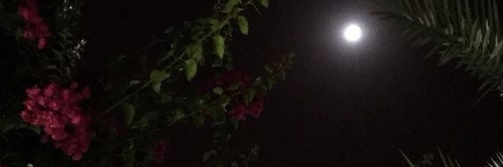 SHlKln's profile banner image