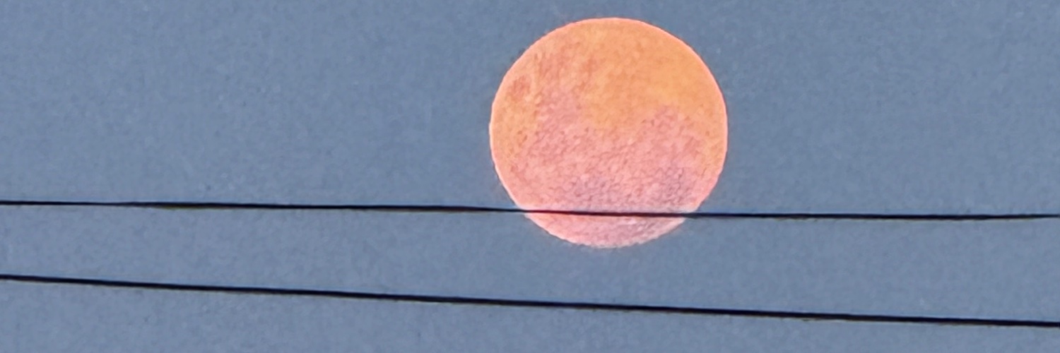 João Paes Neto banner