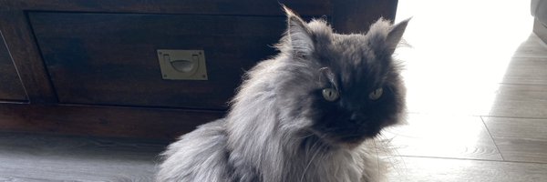 DFrancois2 Profile Banner