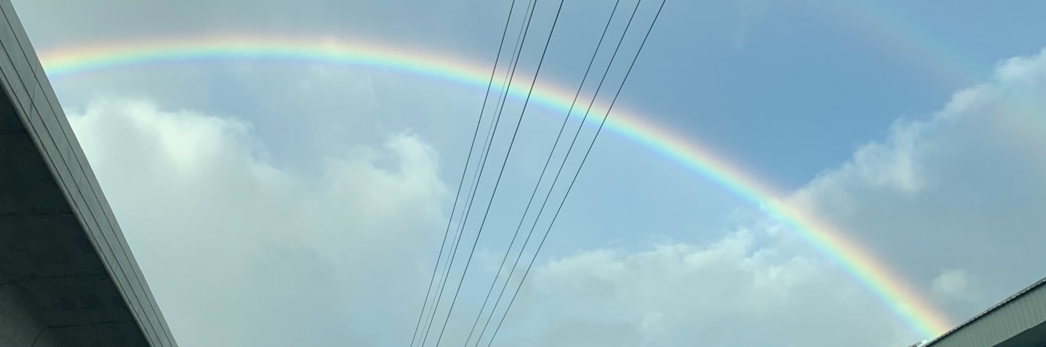 sunflowerdells's profile banner image