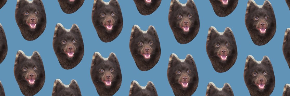 USUCKYO's profile banner image