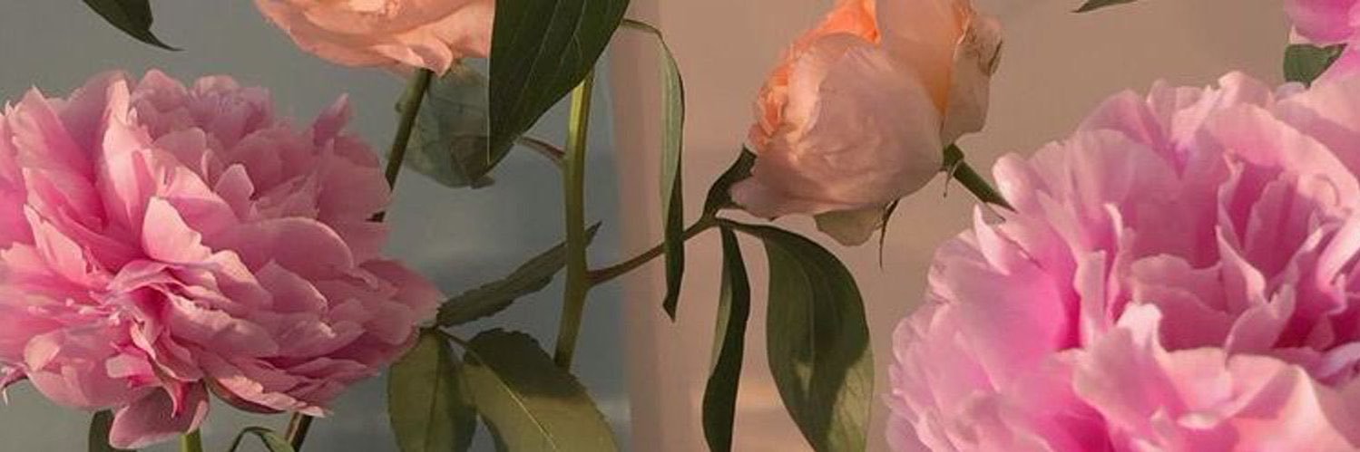nad banner