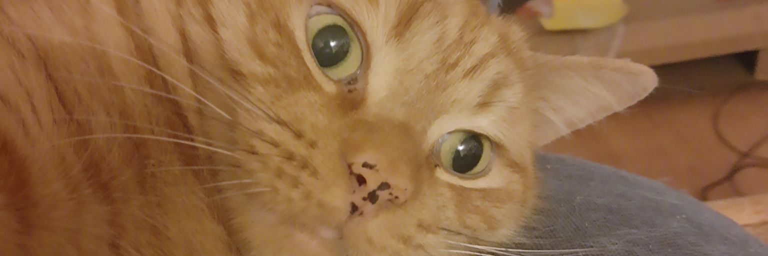 potteralan's profile banner image