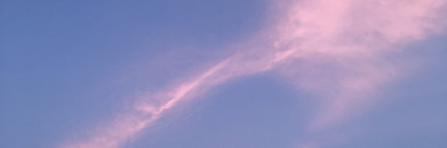 real_mormean's profile banner image