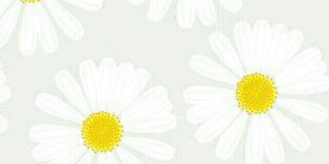 NMarginson's profile banner image