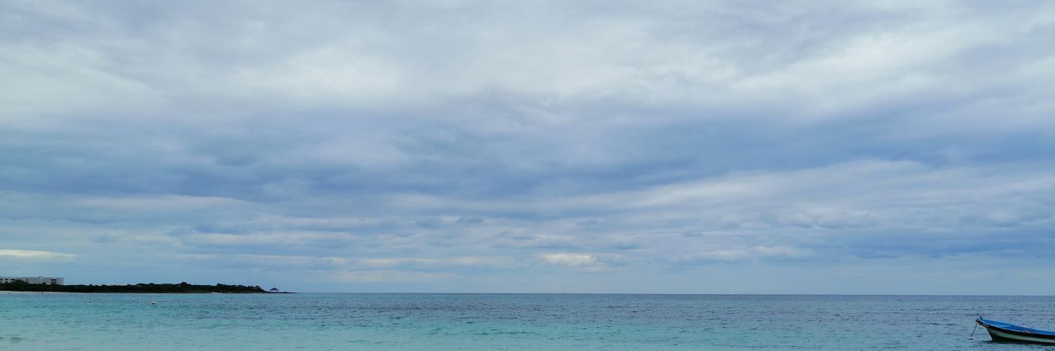 PinguinoPunk's profile banner image