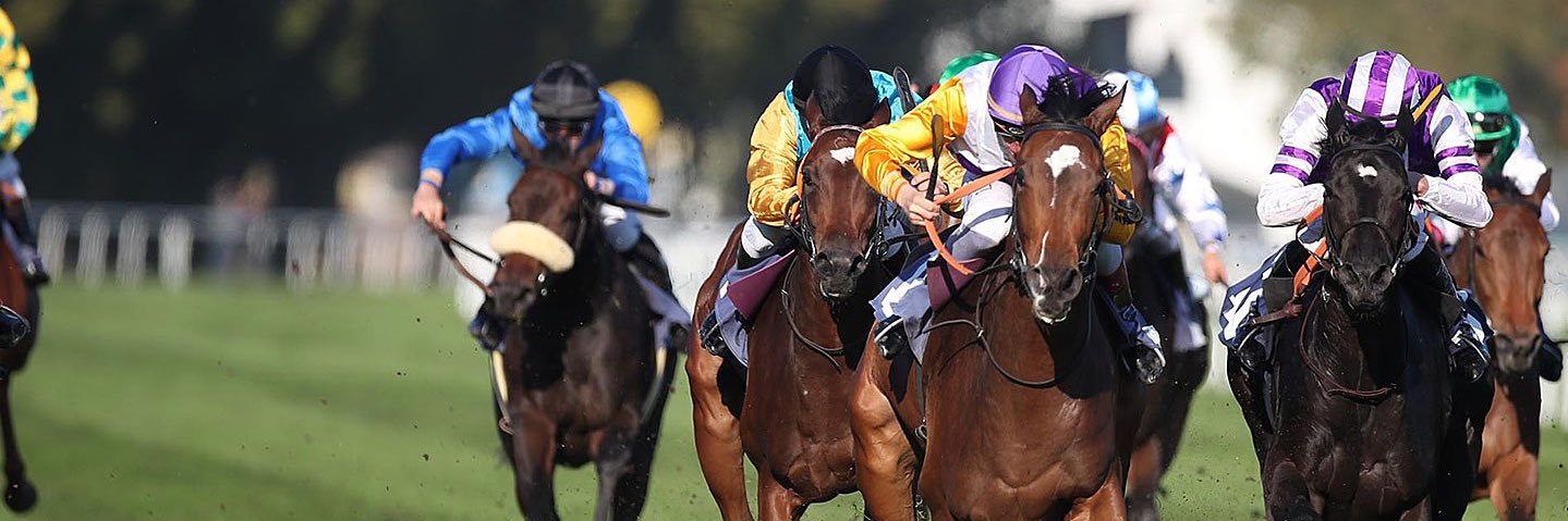 Galopprennbahn Baden-Baden · Iffezheim banner