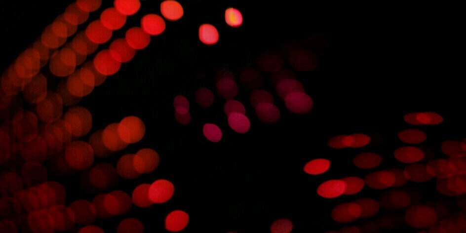 Falcon Munther banner