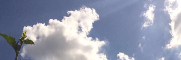alg12_'s profile banner image