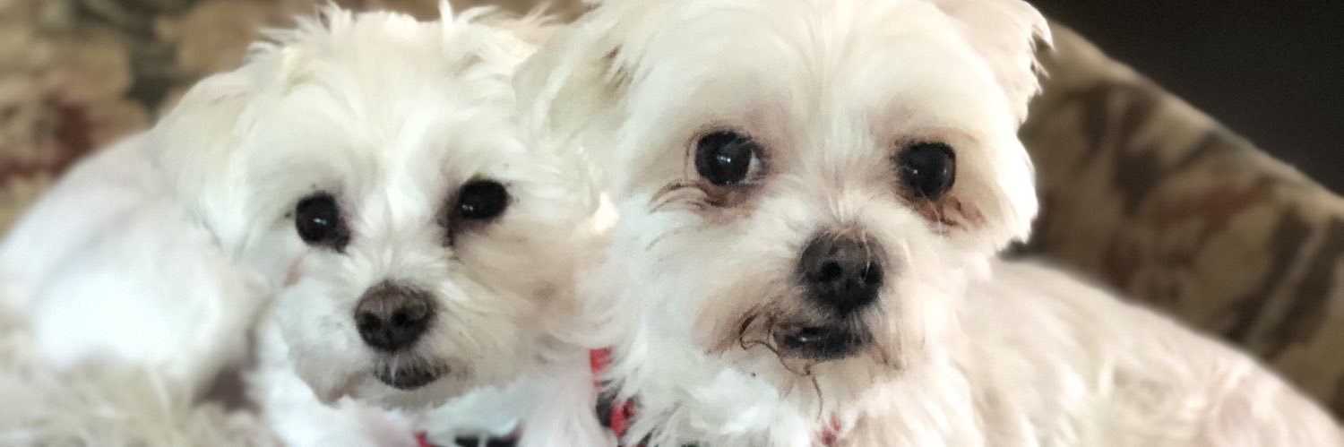 DenisePendel's profile banner image