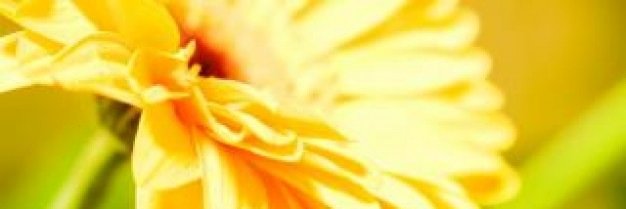 Book_About's profile banner image