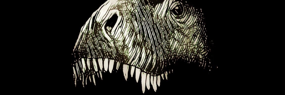 BurnTheCharade's profile banner image