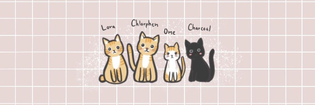 PnG(੭*ˊᵕˋ)੭* ̀ˋ😽 banner