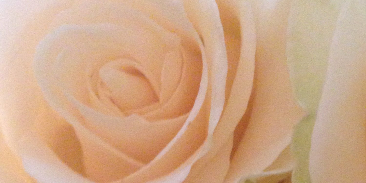 NotaGiftt's profile banner image