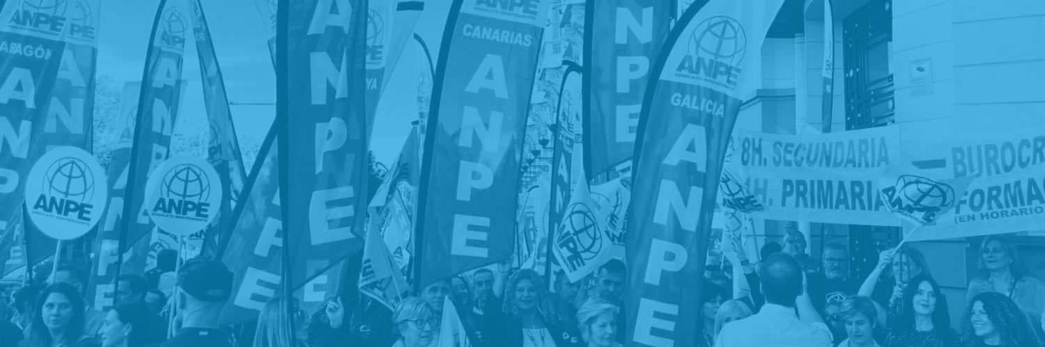 ANPE Canarias banner