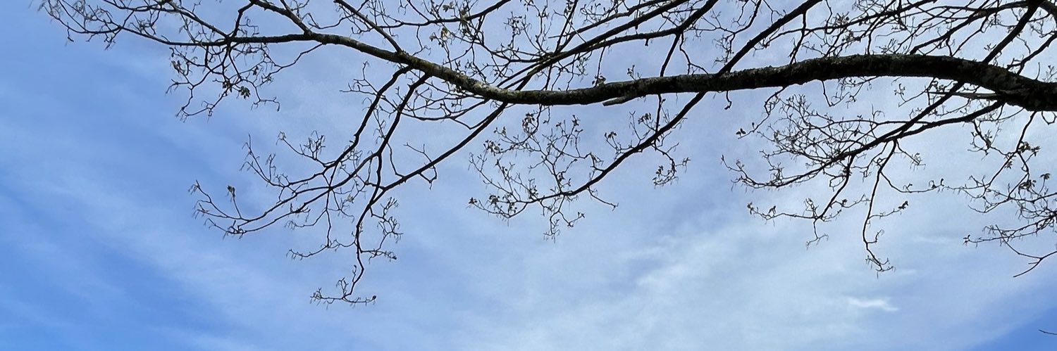 Alexiaaa55's profile banner image