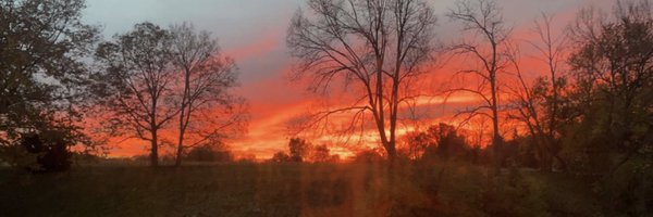 valbcat Profile Banner