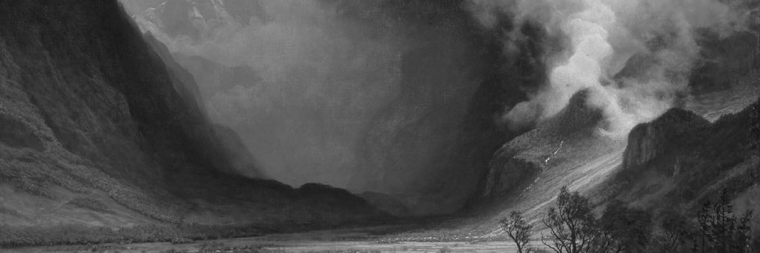 Marcus ₿. Aurelius banner