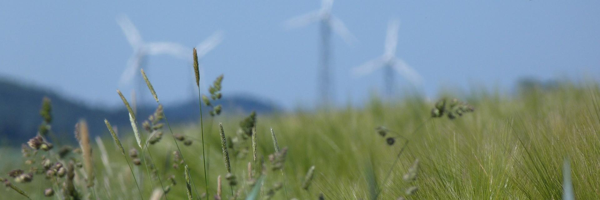 IsolanaEnergy's profile banner image