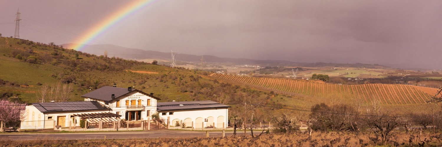 Bodegas Godelia banner