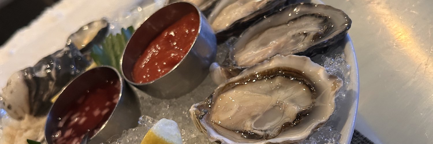 sir hipcheck IV esq banner