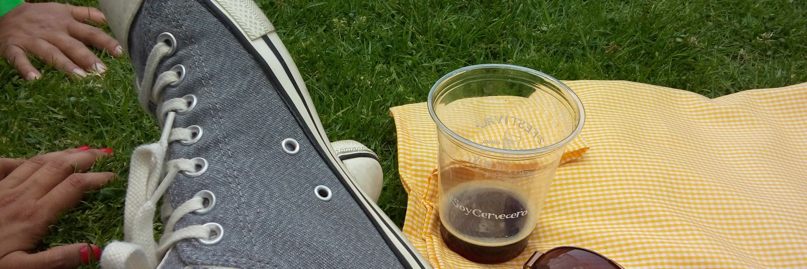 Alejandro Arce banner