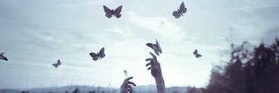 Esraa_Fayed's profile banner image