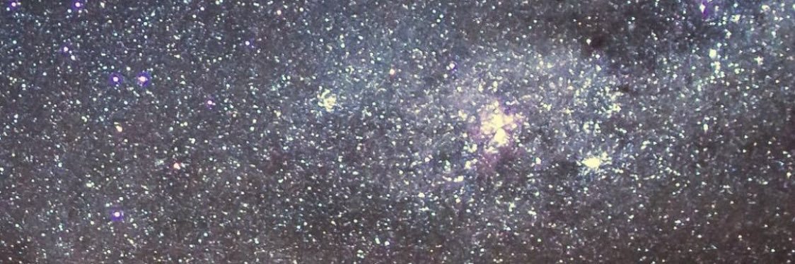 dimplezbbyrox's profile banner image