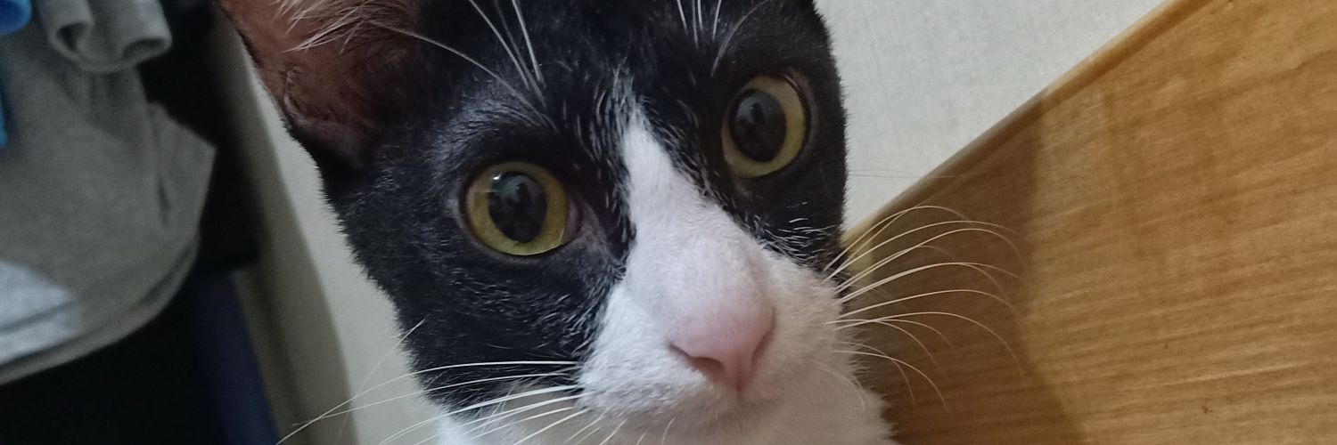 tuxeedocat's profile banner image