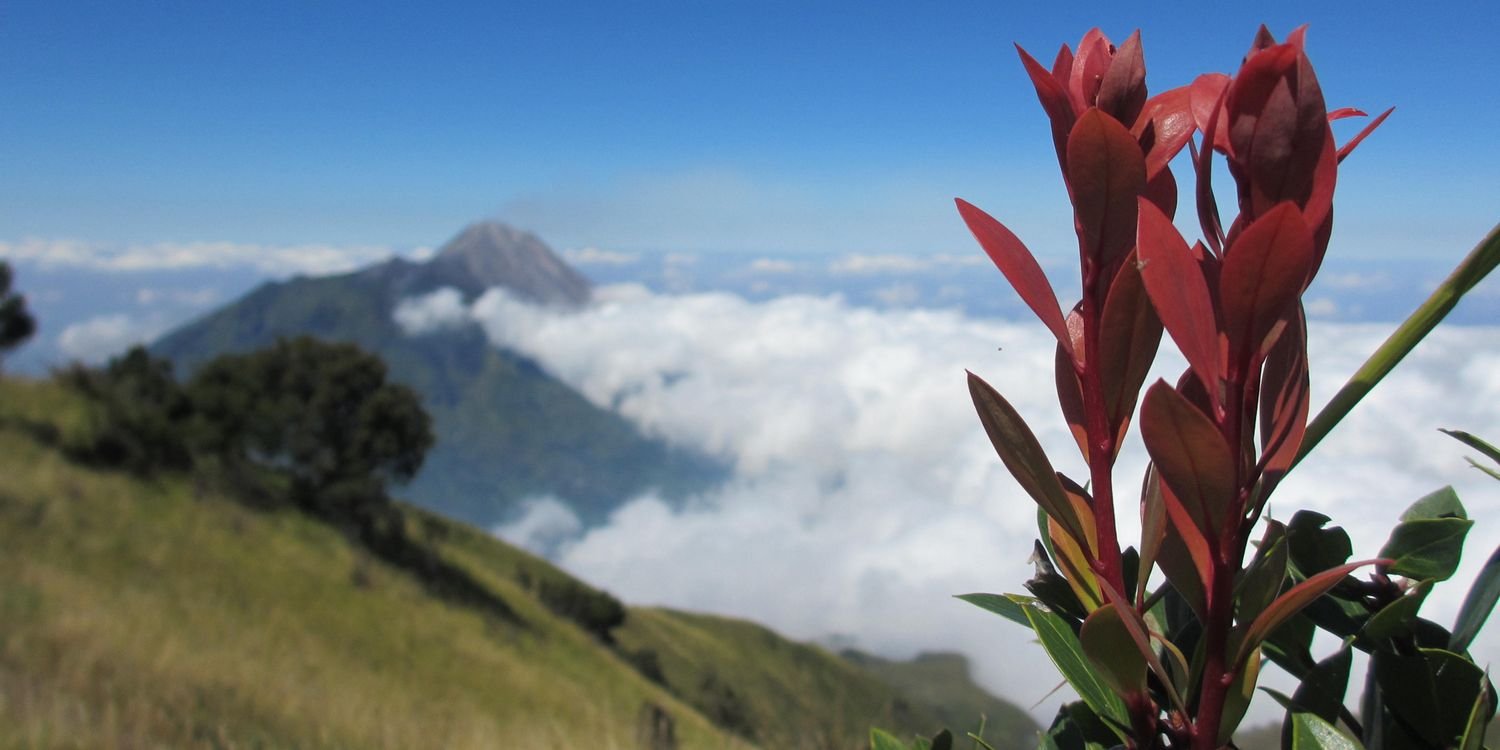 hendrabrada's profile banner image