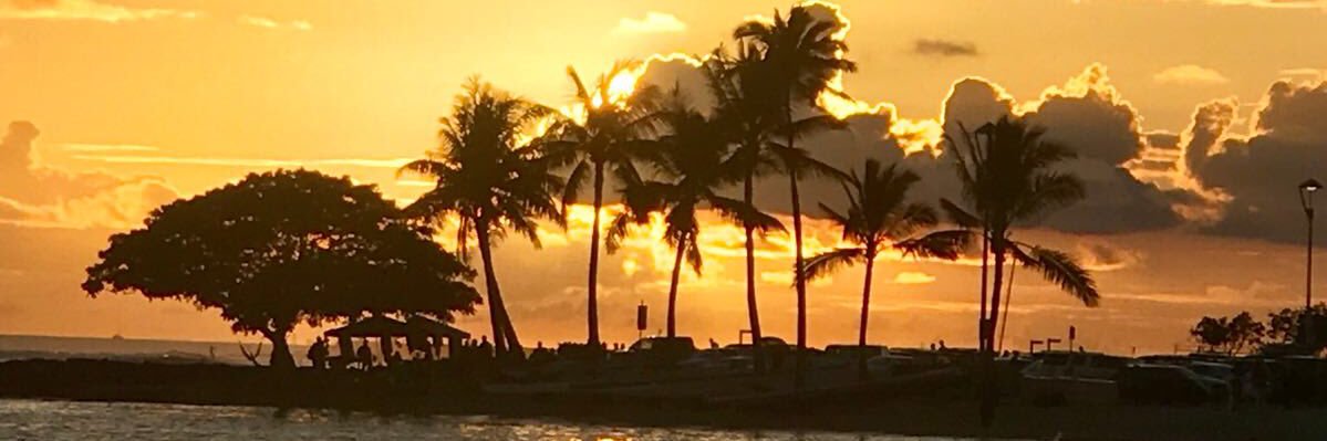 ZaraZakki's profile banner image
